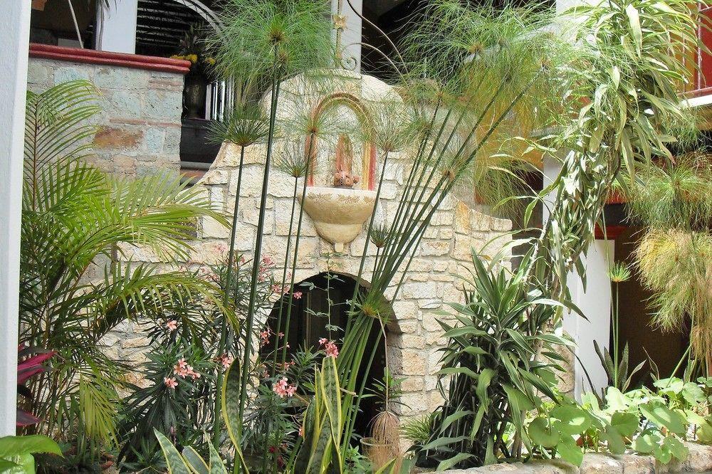 מלון Oaxaca Casa Del Sotano מראה חיצוני תמונה